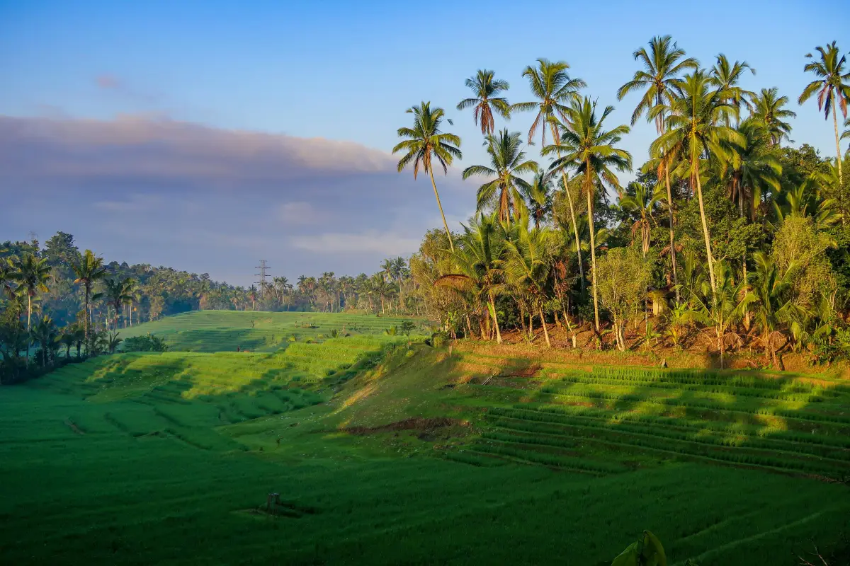 Tour Bali Selatan