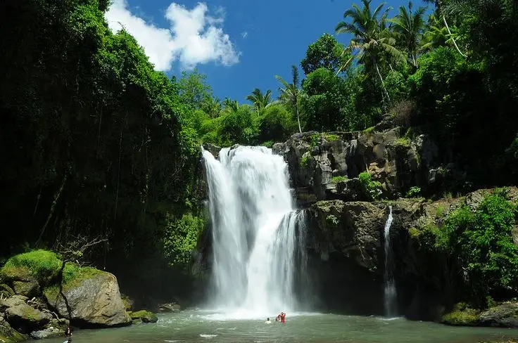 Ubud Tour
