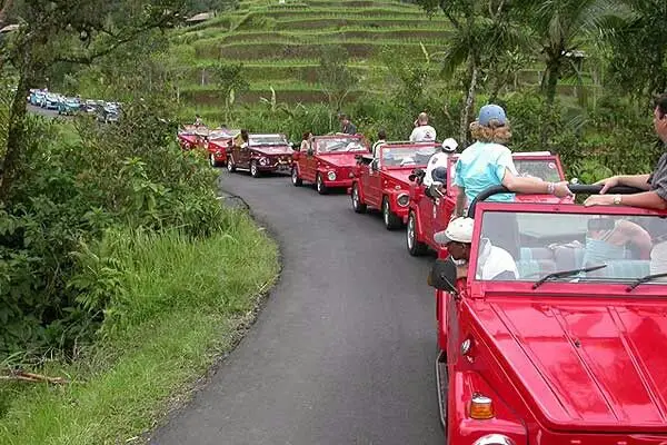 Classic Car Tour Experience