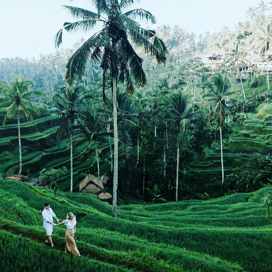 Ubud Tour Packages